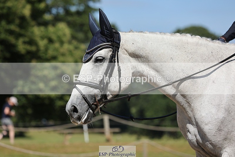 240719-103426-00740 - 198-Louisa_Jenkins-Rosnastraw_Silver_Lady