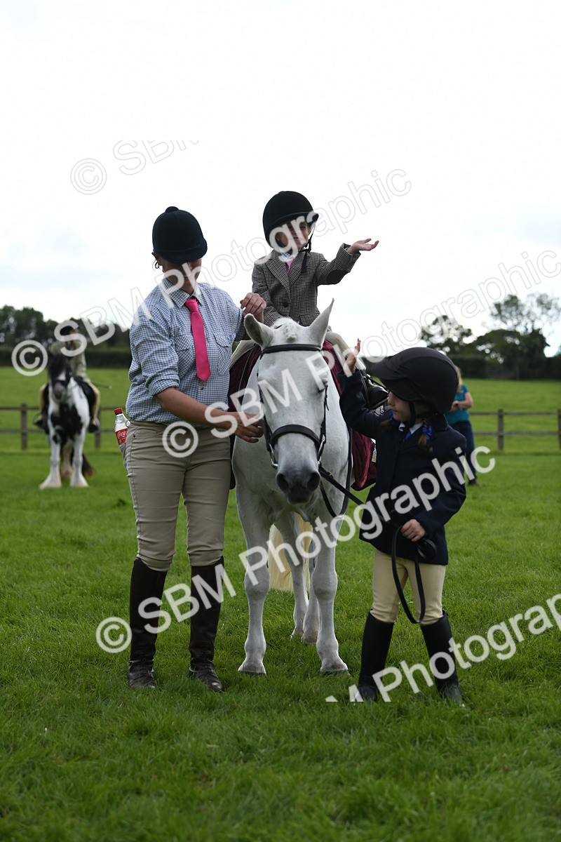 SBM_47203 - S12 - Family Horse & Pony