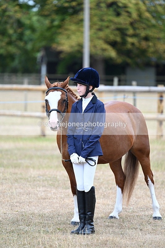 WJ7_8198 - Class 4 Prettiest Mare up to 14.2hh