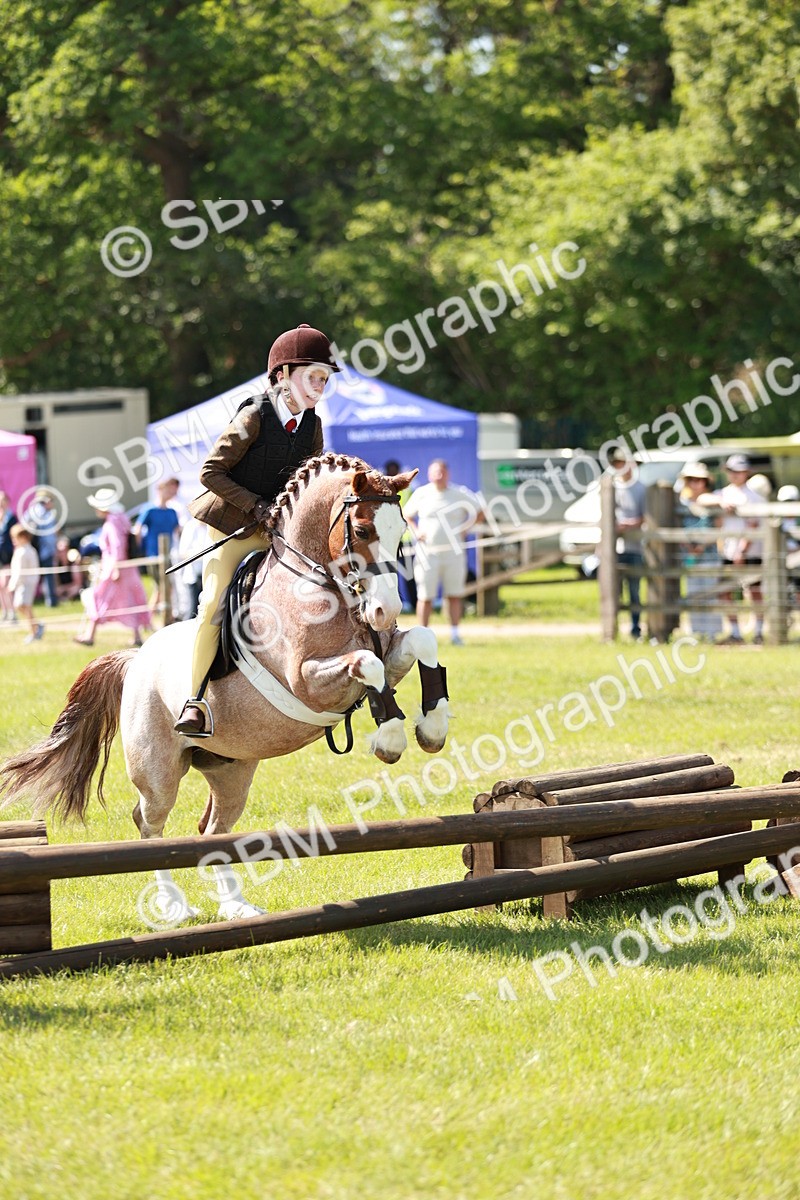 SBM_13499 - Class 108-109 - BSPS LIHS Open Gradle & Nursery Stakes
