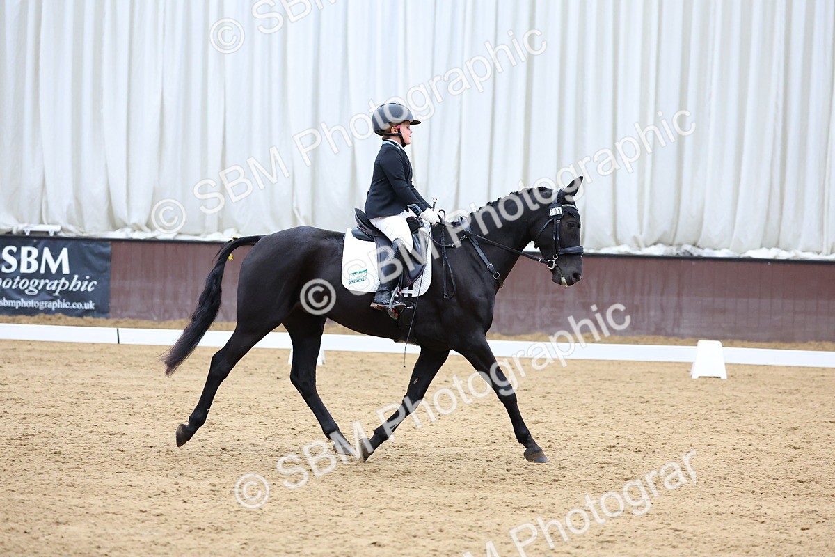 SBM_002428 - Novice 2