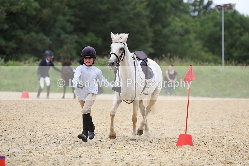 3E7A9522 - Walk trot run