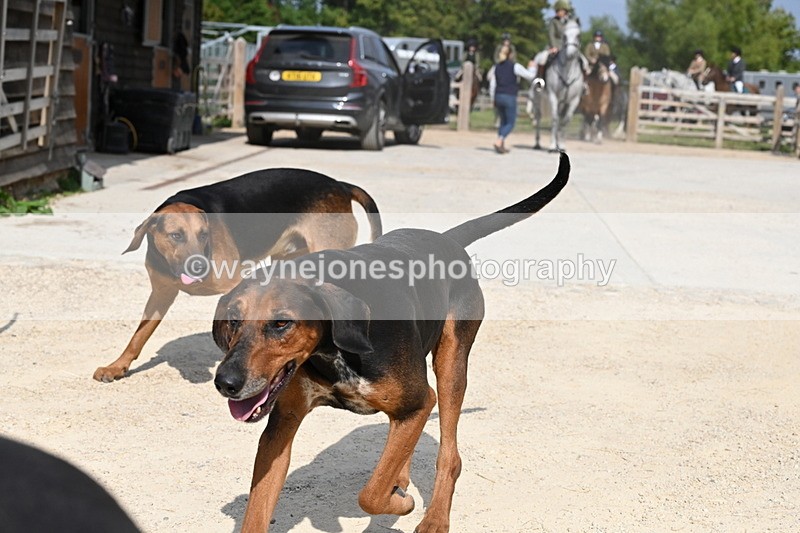 WJ6_3151 - Berks & Bucks - The Old farmhouse - Hound Exercise 20-08-25