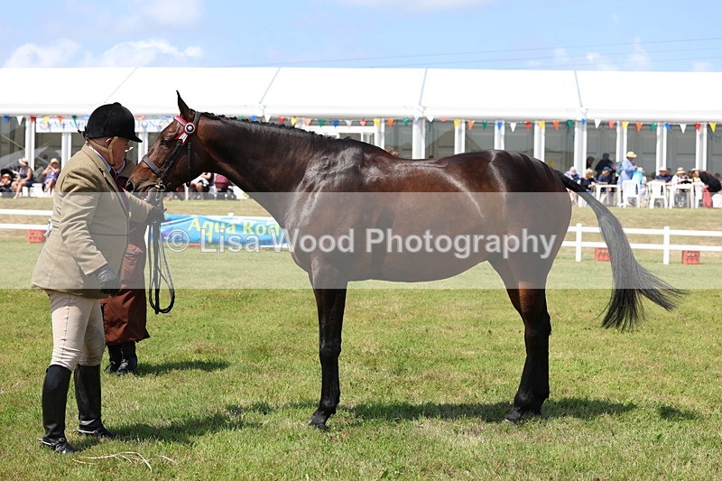 3E7A1170 - Class 8: Open Riding Horse/Hack