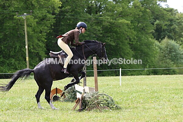 IMG_3220 - Working Hunter