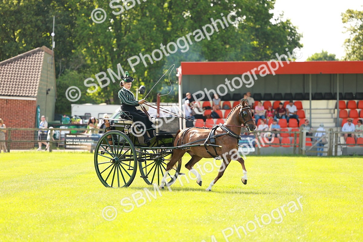 SBM_01228 - Class 2-4 - HOYS Private Driving