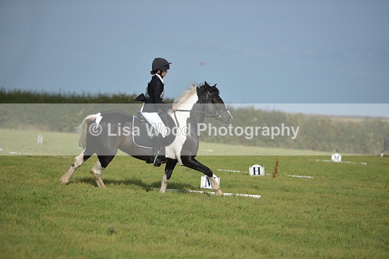 RAY_7639 - Class 2B: Trekenning Open: Dressage