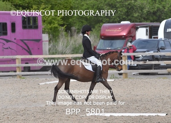 BPP_5801 - 7 K QADEER