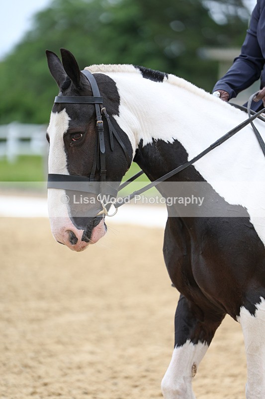 3E7A9444 - Class 2: Intro 1 2024 Section B