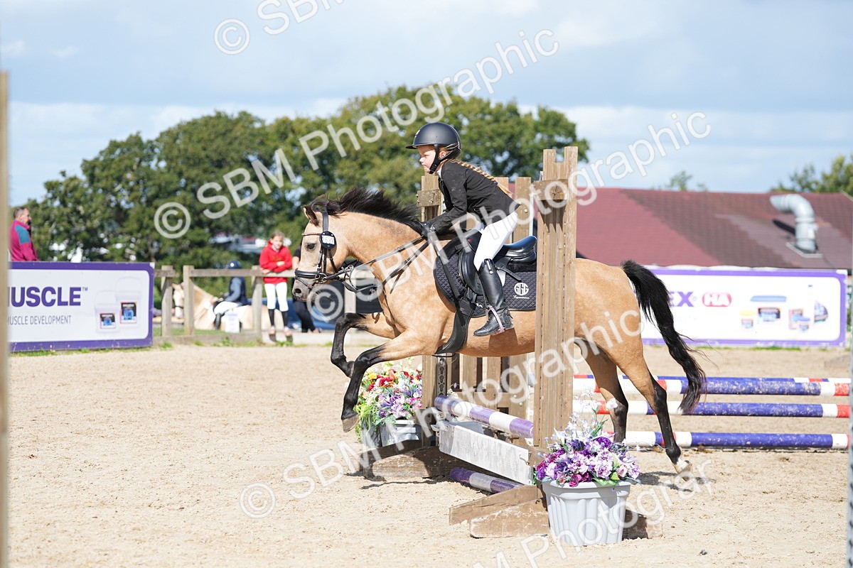 SBM_18218 - J58 - Clear Round 50cm