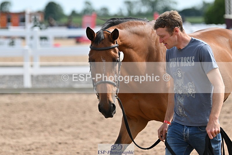 240717A-161450-03376 - Trot Up 4pm to 5pm