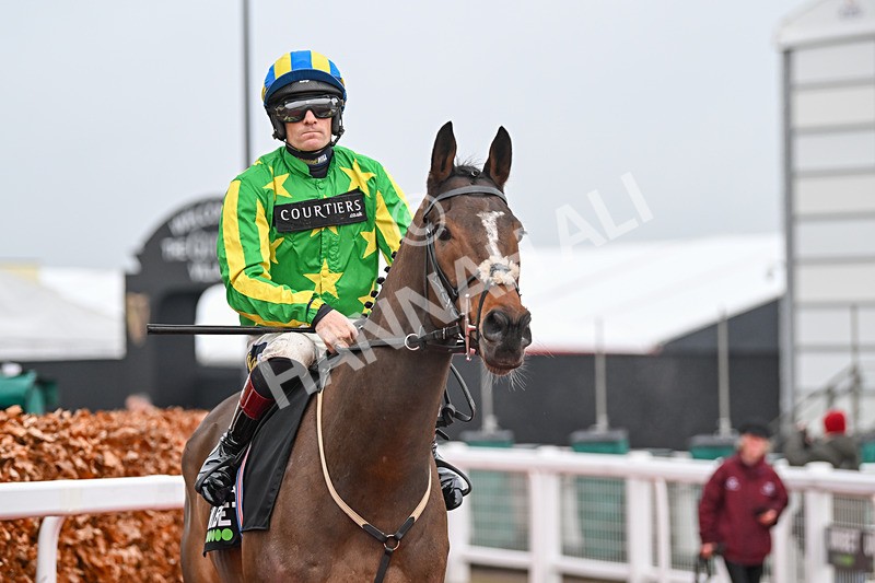 131224-Race 5-Torn And Frayed-9301 - Race 5