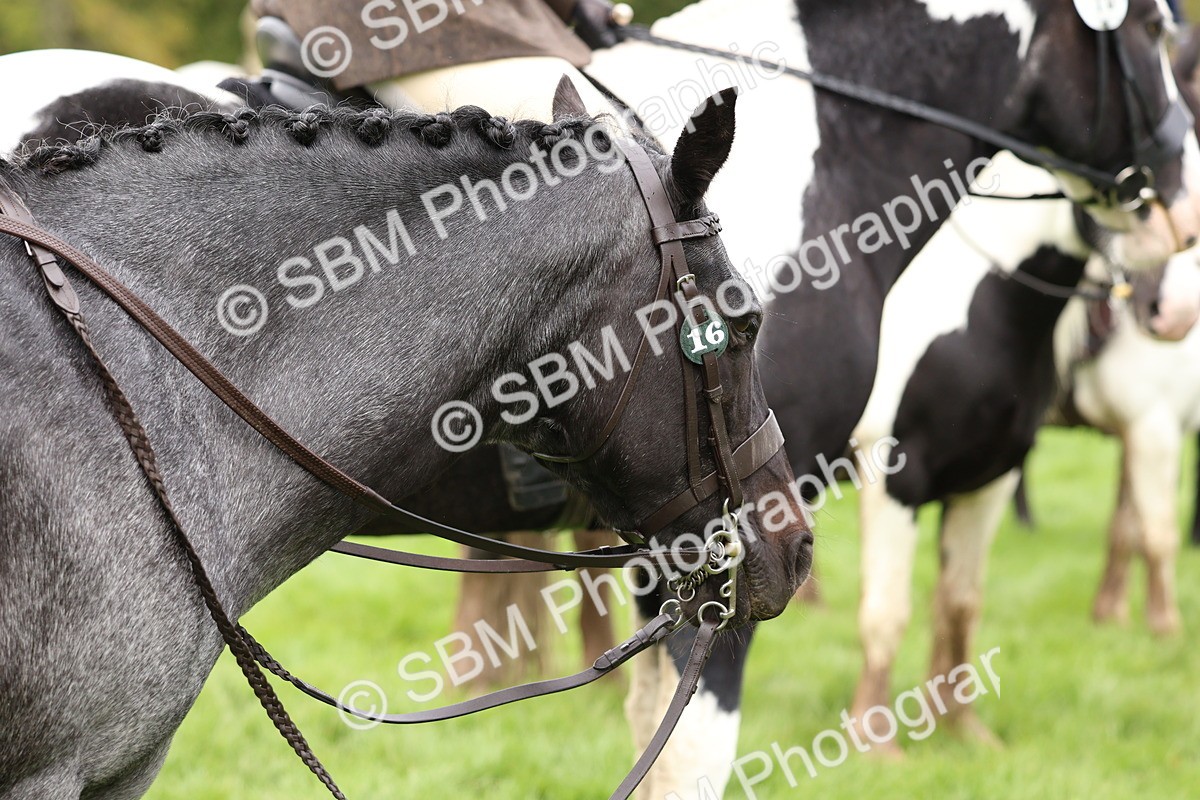 SBM_45111 - S27 - Young Veteran Ridden