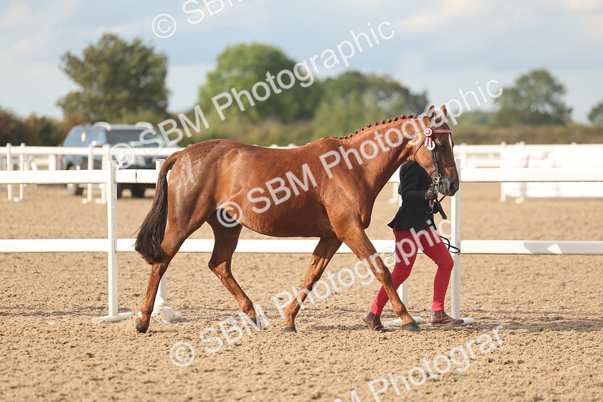 SBM_08616 - Class 29 - IH Veteran Pony