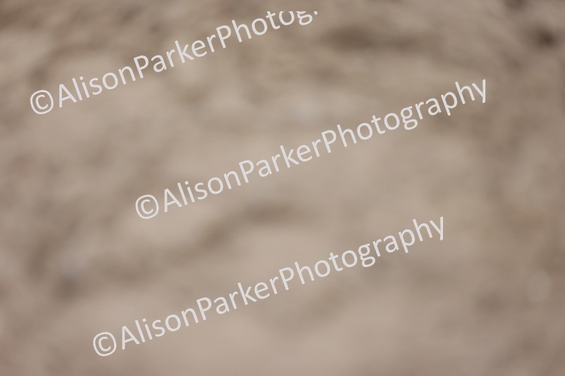 20260215-0271 - Class 3 - Novice 5