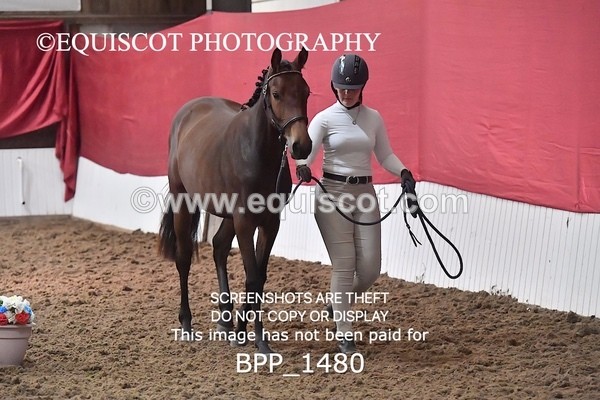 BPP_1480 - MORNING 9AM - 12PM