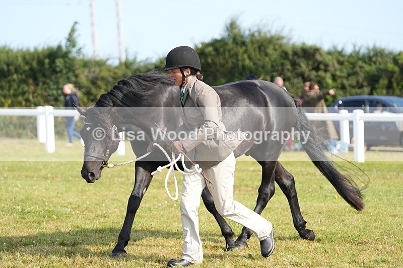 DSC05007 - Class 48: NPS M&M 2/3 year olds
