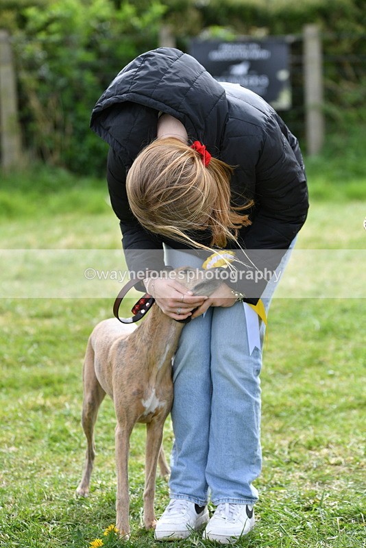 WJ5_9874 - Class 3 Most Handsome Dog