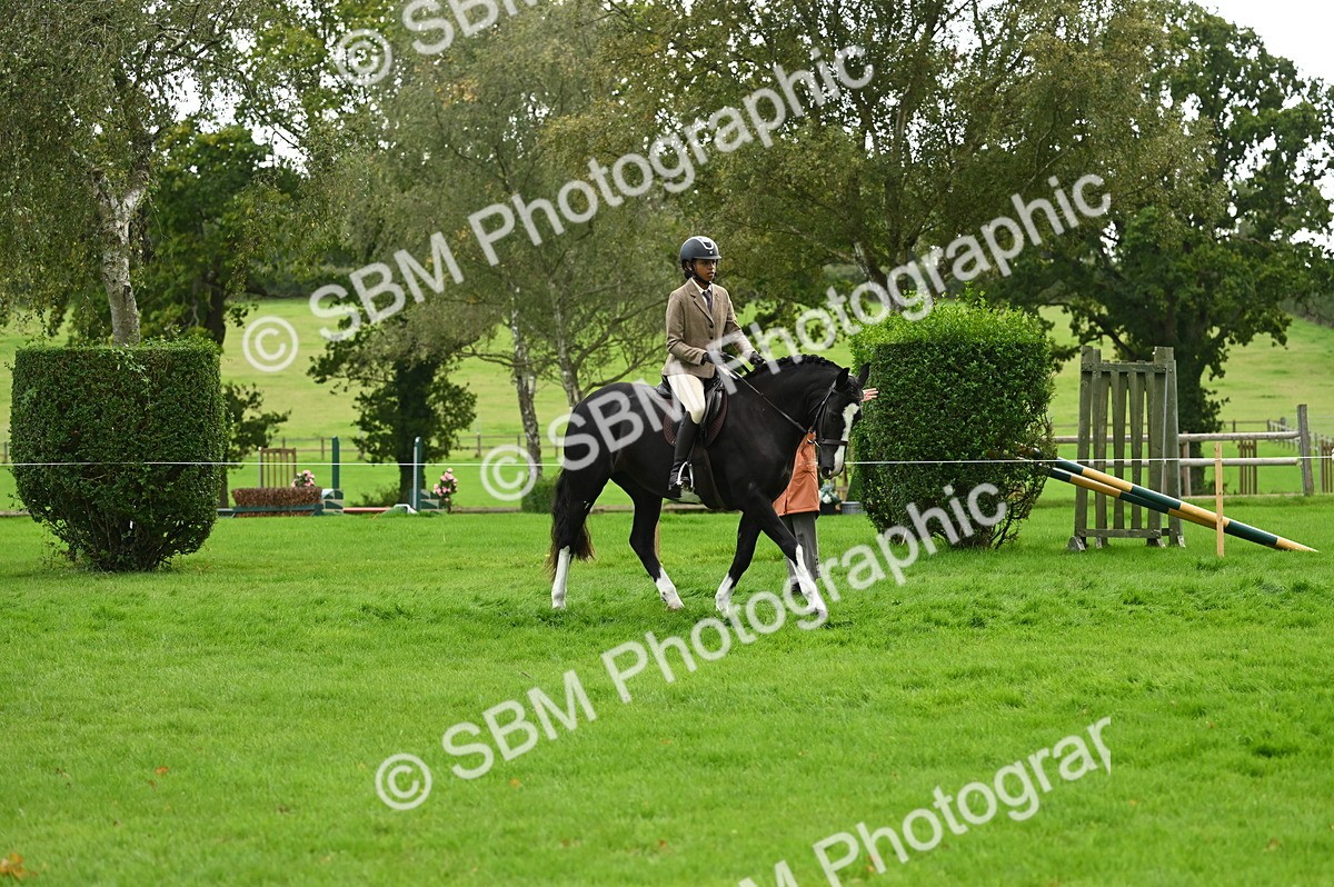 SBM_26347 - S6 - Novice & newcomer Ridden horse