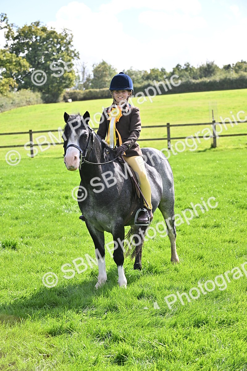 SBM_44597 - S13 - Pony Club Pony