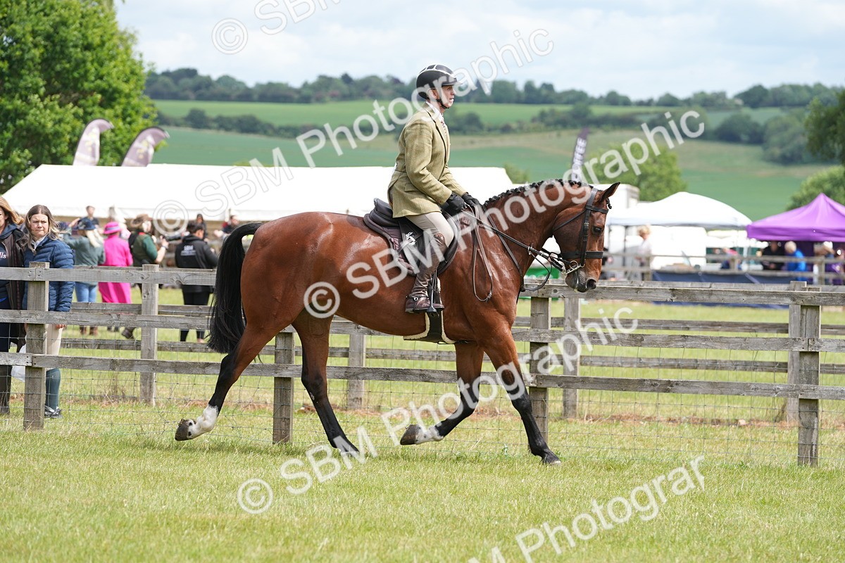SBM_14998 - Class 100-102 - RIHS Working Hunter