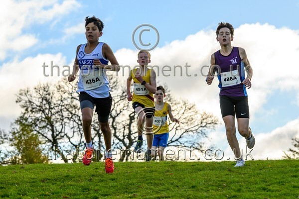 NatRel25-914143 - Young Male Set One