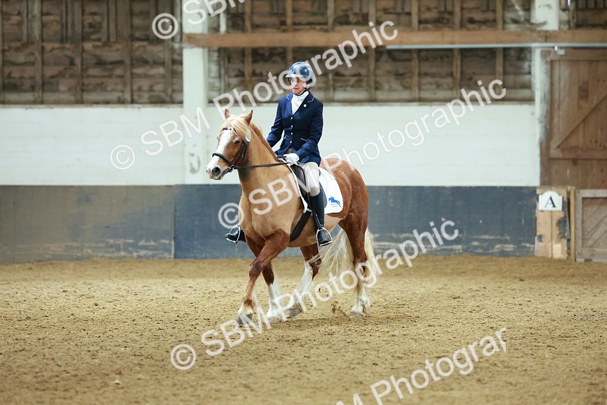 SBM_003633 - Novice 2