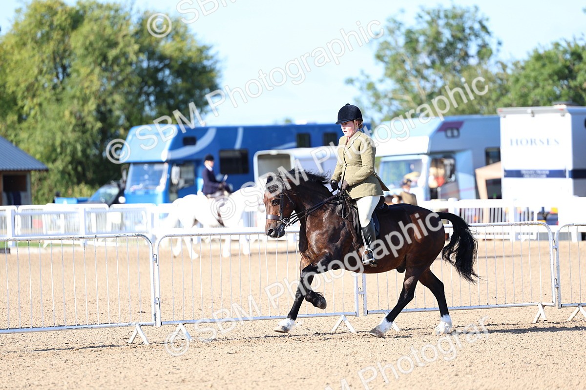 SBM_08789 - Class 302 - Ridden M&M - Large Breeds