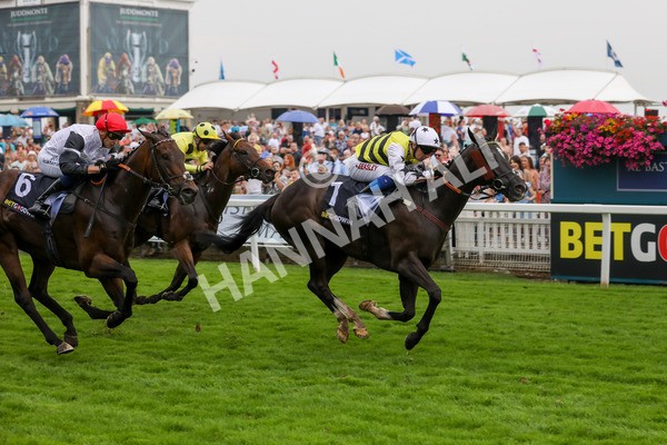100923-Race 5-Commanche Falls-3962 - Race 5 3.50pm BetGoodwin Garrowby Stakes