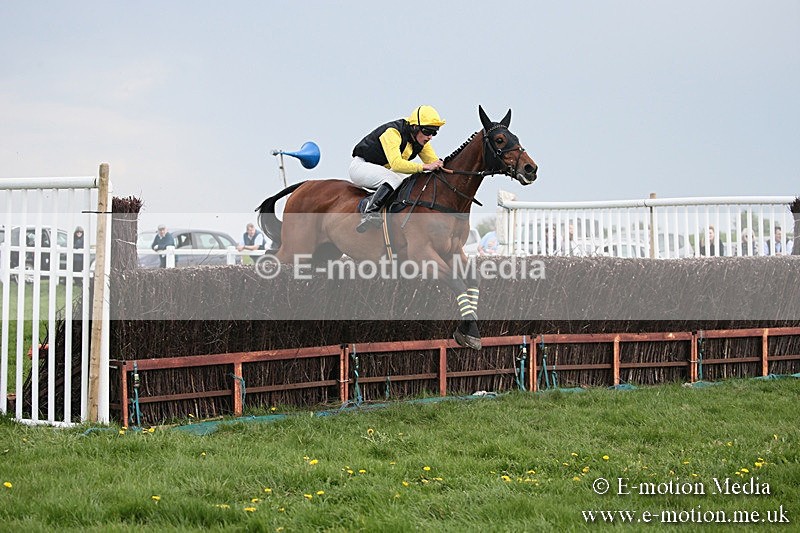 PtP 210418 390 - South & West Wilts Point-to-Point Larkhill 21/04/18
