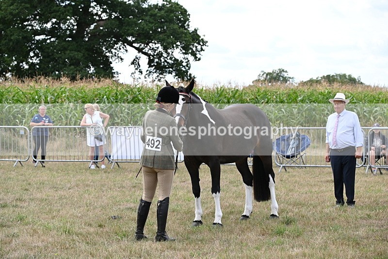 WJ6_6222 - Class 19 In-hand Veterans (Uploaded correct folder)