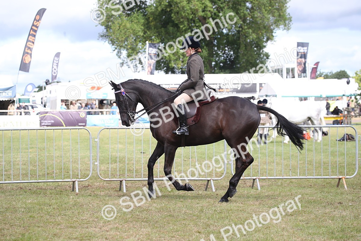 SBM_13247 - Class 95-96 - LIHS BSHA Rising Star Hack Riding Horse