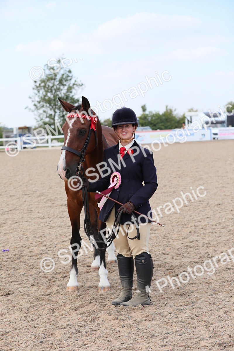SBM_15874 - Class 312 IH Competition Horse/Pony