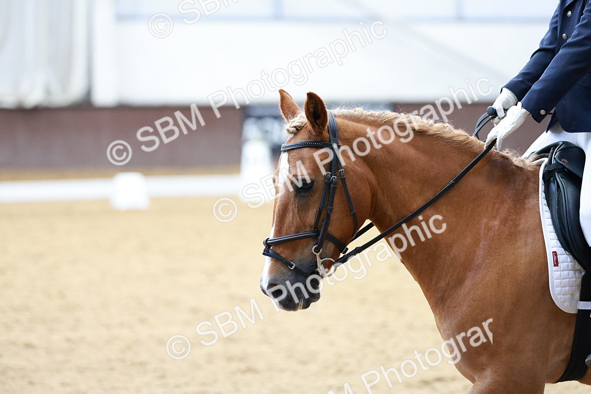 SBM_007597 - Class 3-6 - MQ U21 Intro 2-Open P1