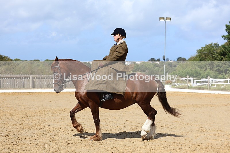 3E7A3573 - Class 7:  Preliminary Music