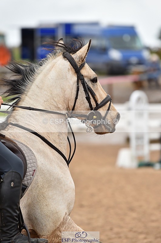 231028A-125710-01546 - Cls 4 Newcomers & 1m Open