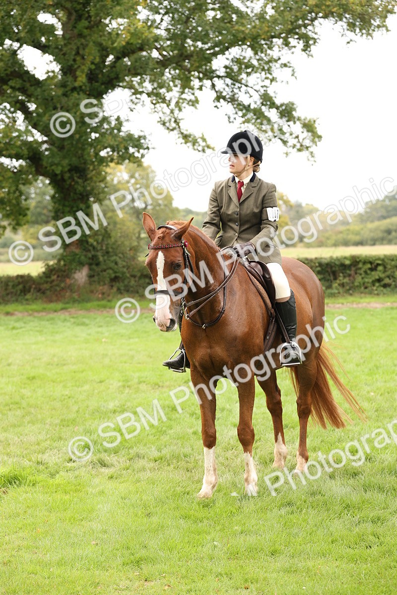 SBM_64279 - S65 - Riding Horse & Hack & Thoroughbred Ridden