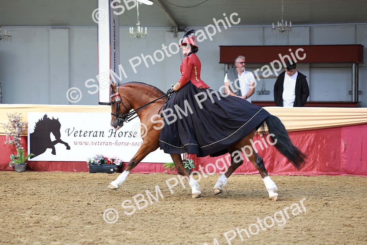 SBM_14809 - Class 107 - Ridden Costume - Astride Adult  (20+)