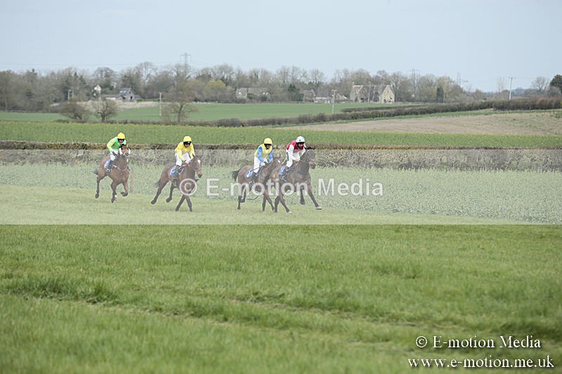 PtP 230319 24 - VWH Hunt Siddington Point-to-Point Racing 23/03/19