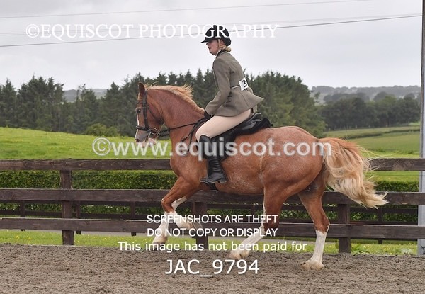 JAC_9794 - CLASS 2 Novice Working Hunter (0.60m - 0.70m)