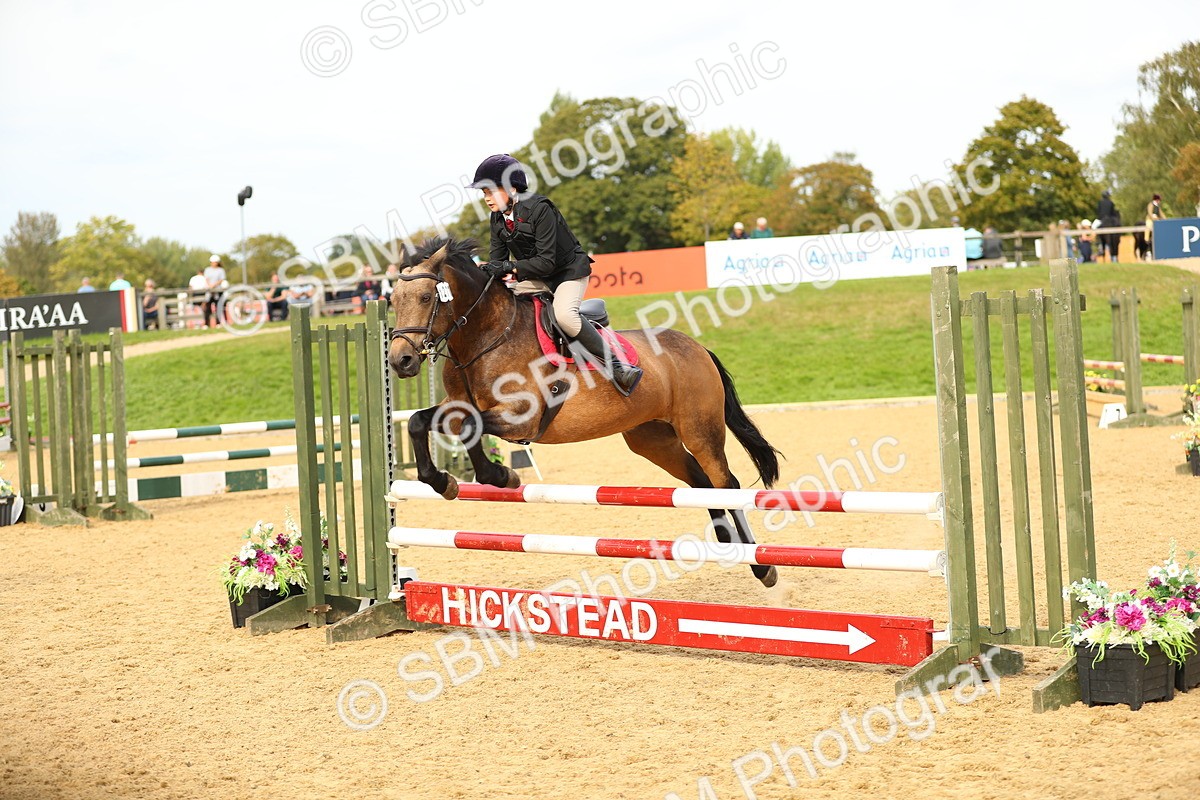 SBM_71238 - J18 - Junior Pony 85cm Championship