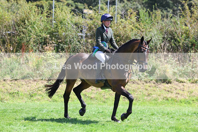 3E7A9181 - Working Hunter Championship