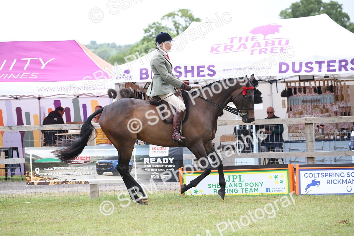 SBM_11434 - Class 94 - LIHS BSHA Racehorse to Showhorse