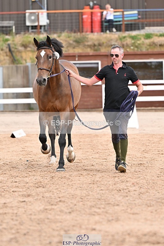 250716-151718-01844 - Trot Up 2.30 to 3.30