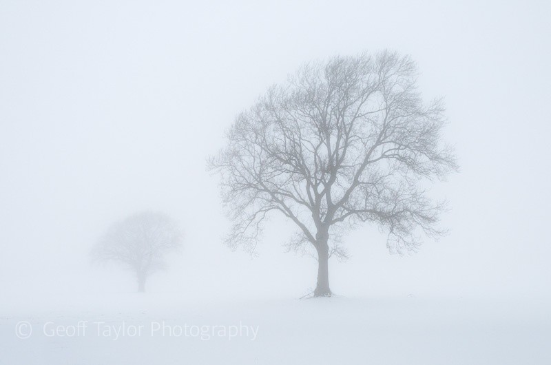 Winter 3 - Wenlock Edge
