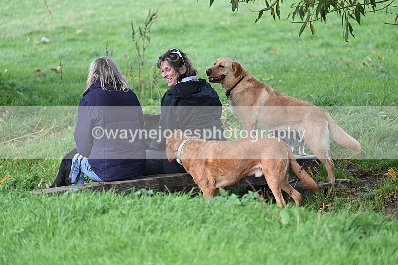 WJ7_0833 - Time 14:27 to 15:11