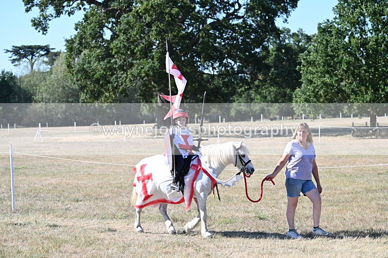WJ7_2325 - Class 45 Fancy Dress (My Fav)