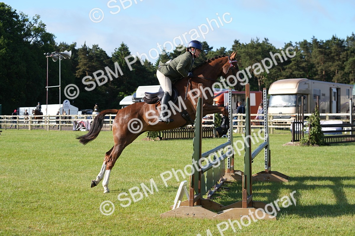 SBM_10512 - Class 97-98 - LIHS BSHA Rising Star Working Show Horse Hunter