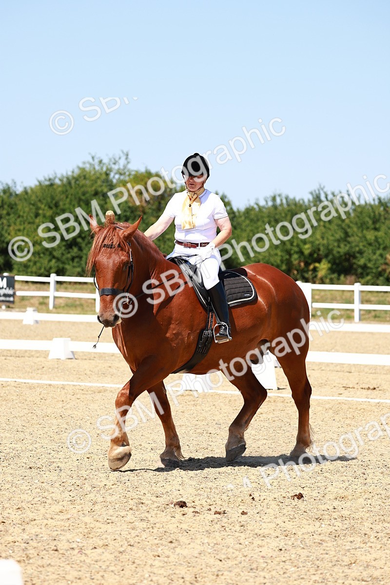 SBM_011812