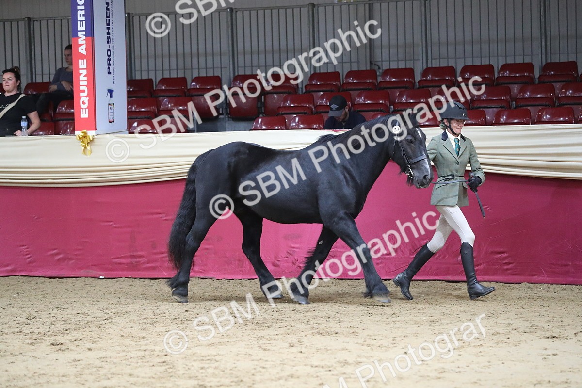 SBM_04967 - Class 8R- Regional -IH Veteran